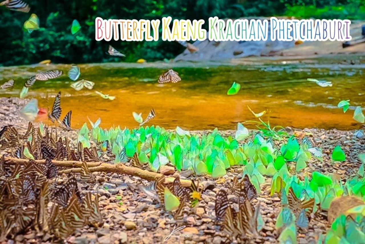 Baan Rai Pray Rung Kaeng Krachan Ban Tha Ling Lom Экстерьер фото